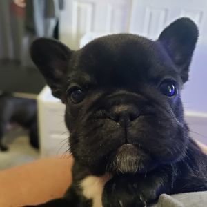 Meet your Posher, Crystal